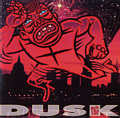 wDUSKx